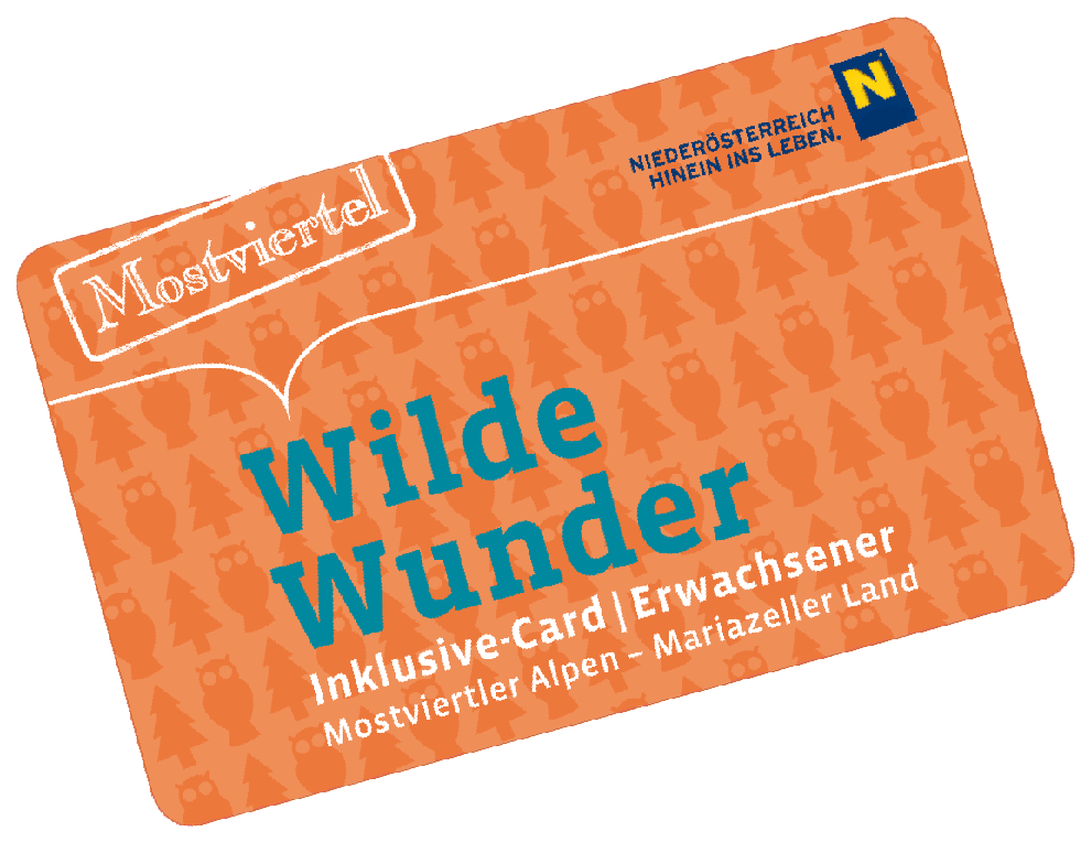 Wild Wunder Card Partner